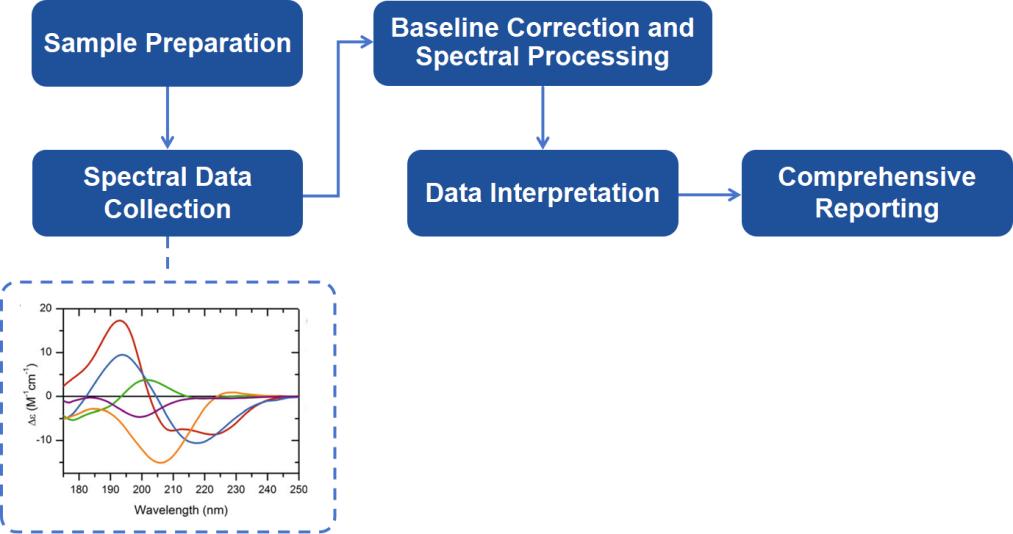 Far UV CD Spectroscopy Analysis Workflow