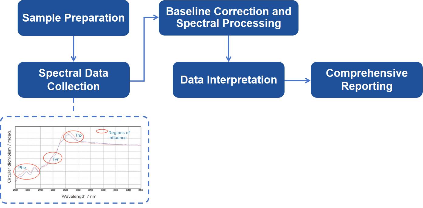 CD Spectroscopy Analysis Workflow