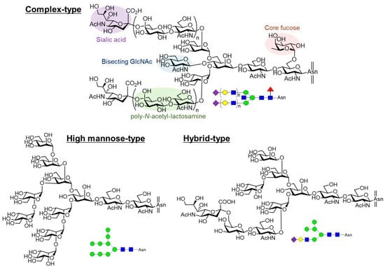 Complex and hybrid N-glycan structures diagram.