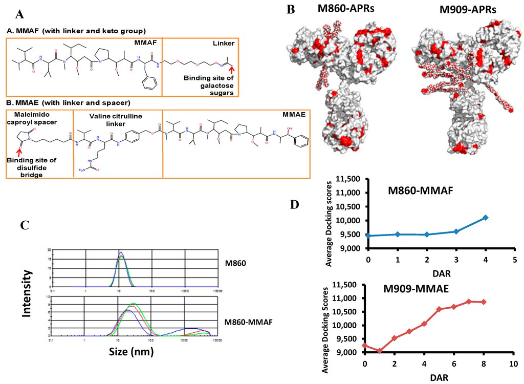 Figure 1. Aggregated Antibody-Drug Conjugates (ADCs) showing clustered forms in solution.