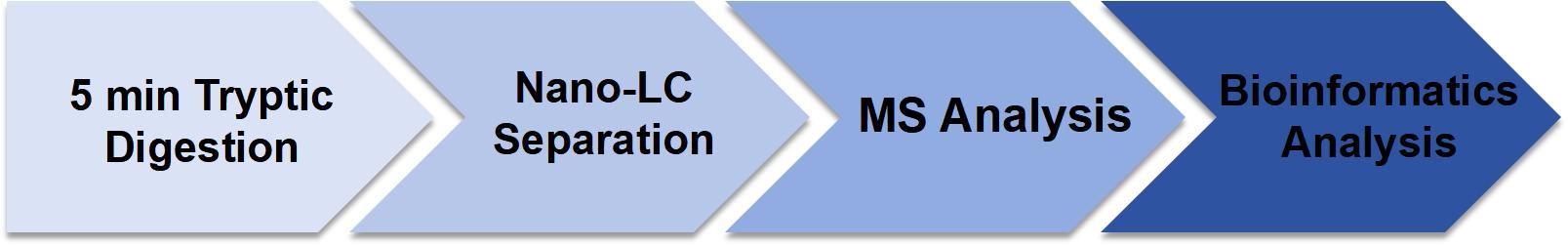 Deamidation and Oxidation Analysis Service Workflow.