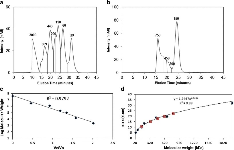 SEC chromatograms and DLS data for oligomer distribution analysis