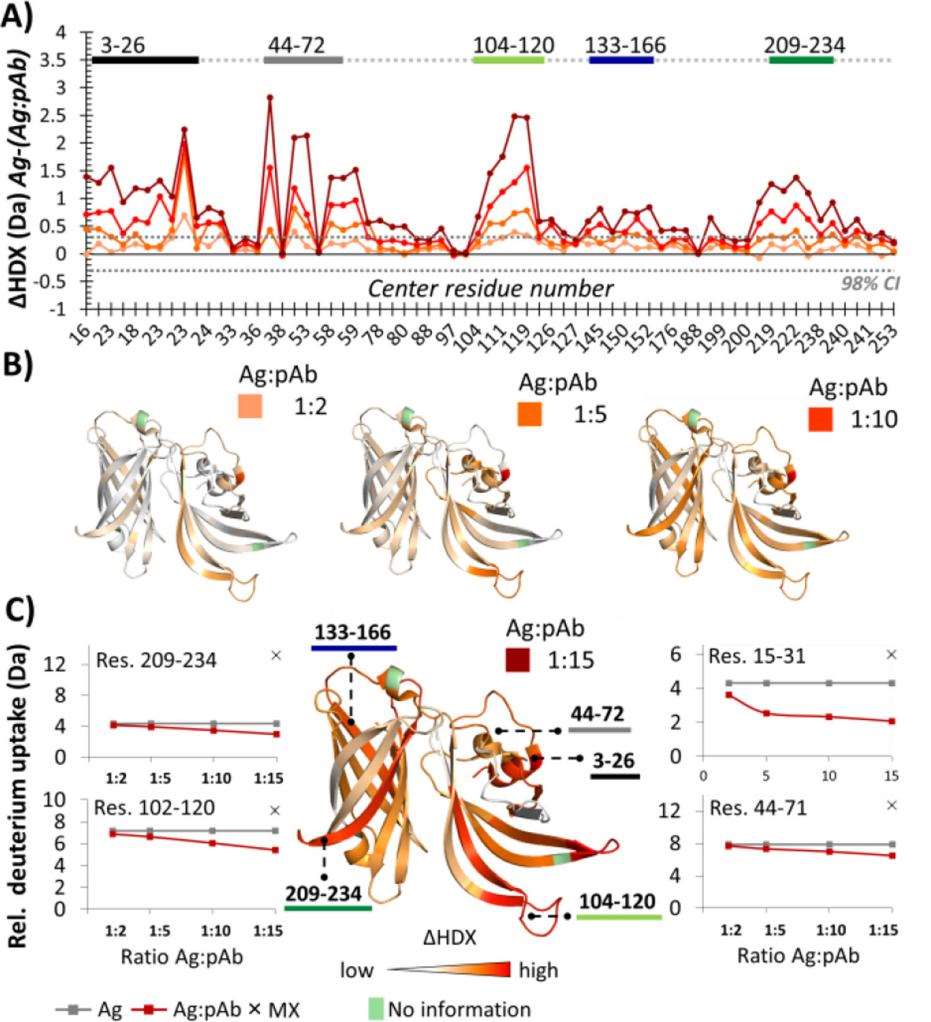 Effect of varying Ag:pAb ratios on local HDX.