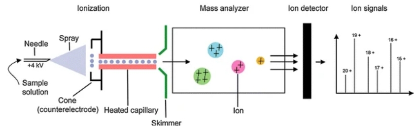 ESI-MS technology procedure.