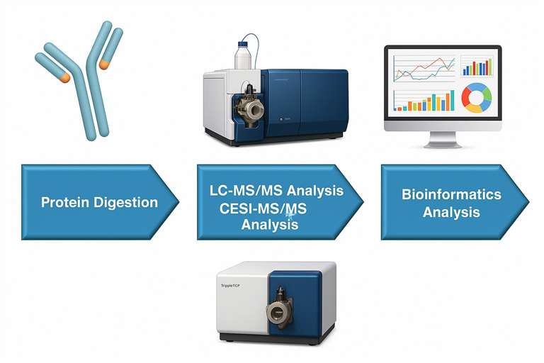 HCP Detection and Quantification workflow