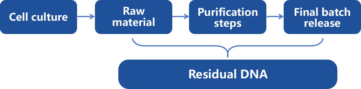 Residual DNA in Biological products production