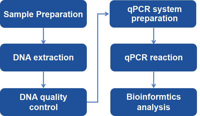 Host cell residual DNA analysis workflow