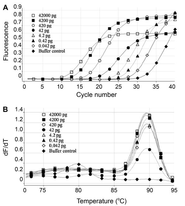 Reproducibility of the real-time PCR for quantitative assay of host cell DNA.