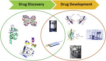 HDX-MS in biopharmaceutical discovery and development.