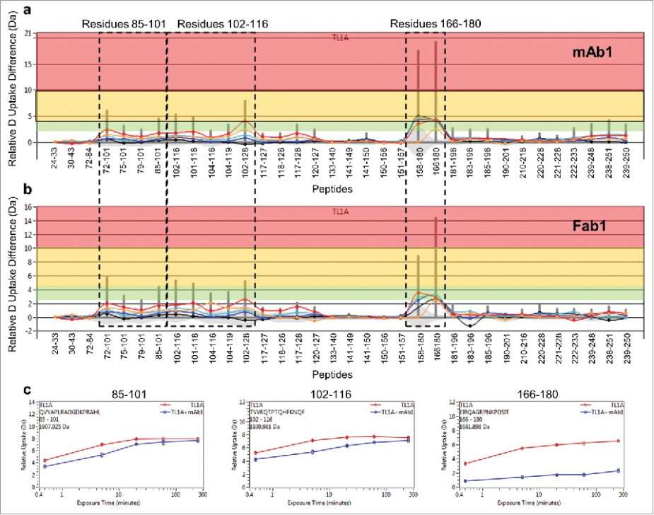 Differential HDX of TL1A upon mAb1 and Fab1 binding.