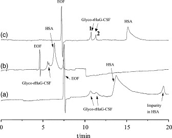 The separation of GRANOCYTE injections in different buffers.