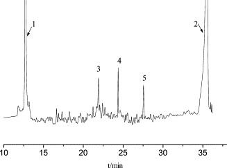 cIEF electropherogram of the non-glycosylated rHuG-CSF bulk sample.