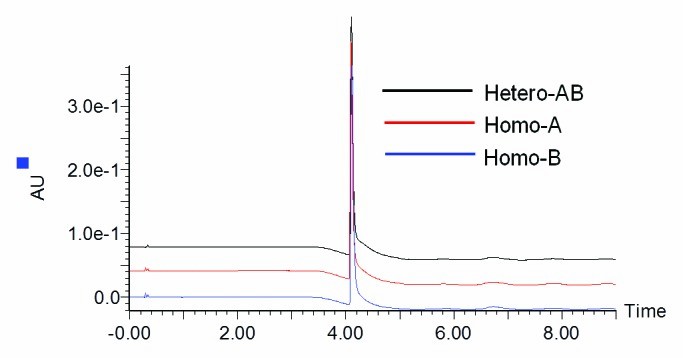 LC-MS characterization and purity assessment of a prototype asymmetric antibody