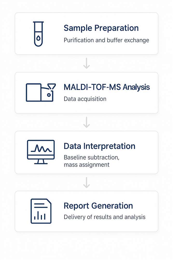 workflow Of Protein Molecular Weight Determination by MALDI-TOF-MS