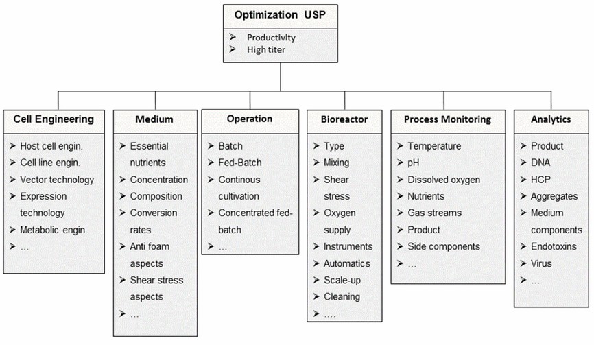 Optimization process of upstream production process of monoclonal antibody products