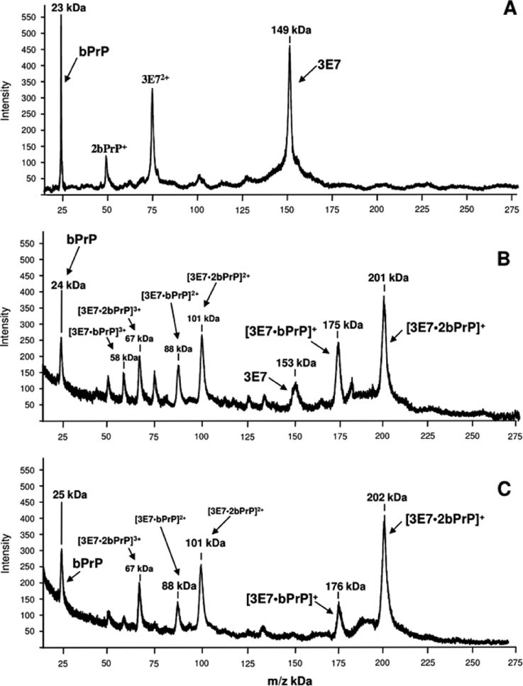 High-mass MALDI-TOF mass spectra of the immuno complexes.