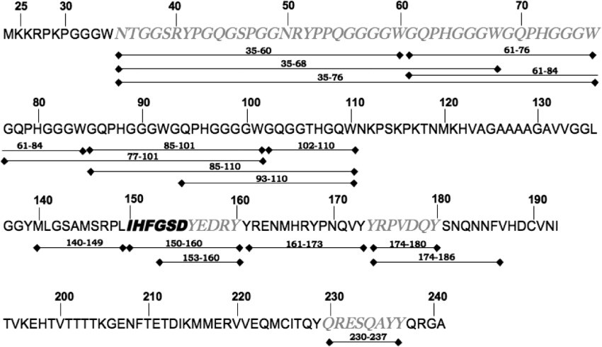 Peptide mass fingerprint of bPrP(25–241).