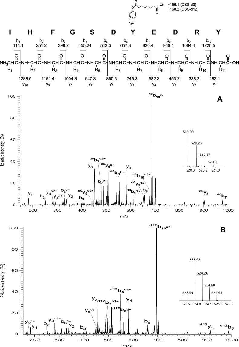 MS/MS analysis of the peptide [150–160] modified with DSS-d0 and DSS-d12.