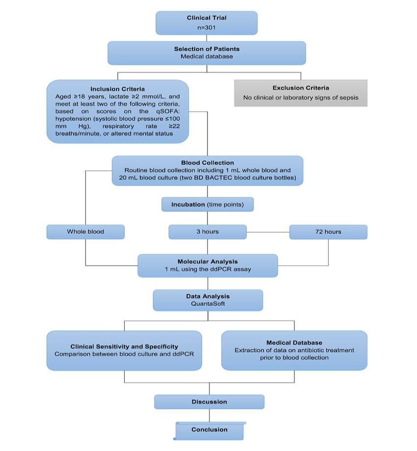 Diagram illustrating different stages of drug development