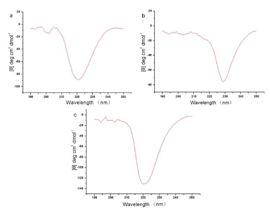 Protein Characterization Overview