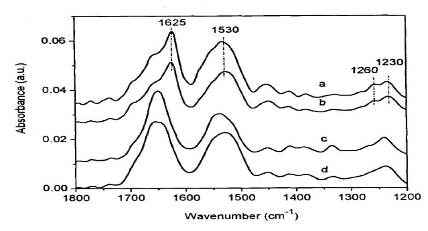 Protein Characterization Overview