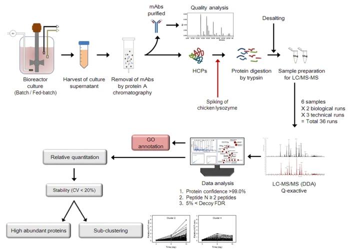 Diagram illustrating the process for assessing mAb quality attributes and identifying host cell proteins (HCPs)