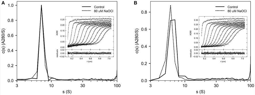 SV AUC assesses the formation of aggregates following oxidation