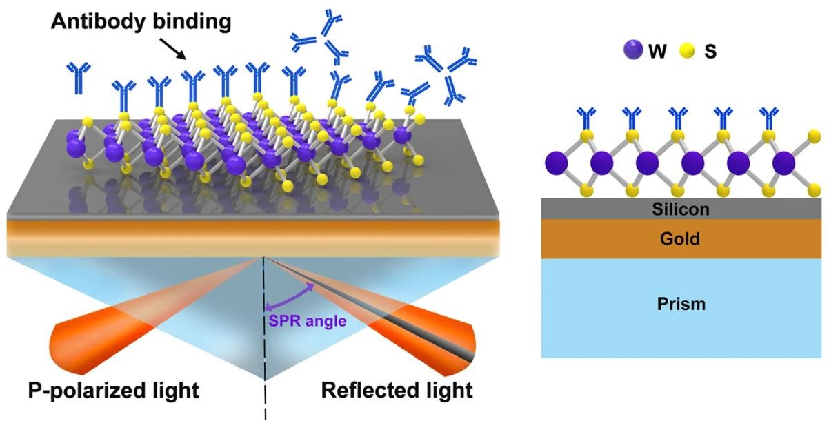 Principle of SPR.