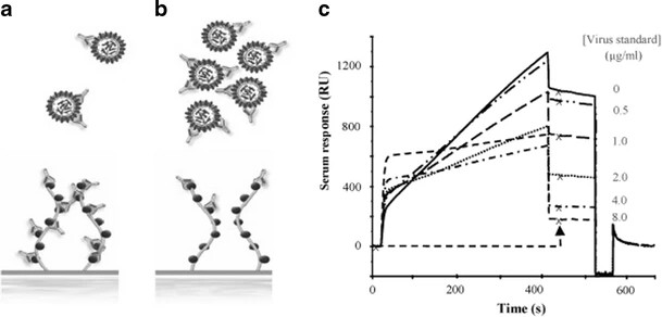 Pathogens detection by immunosensing.