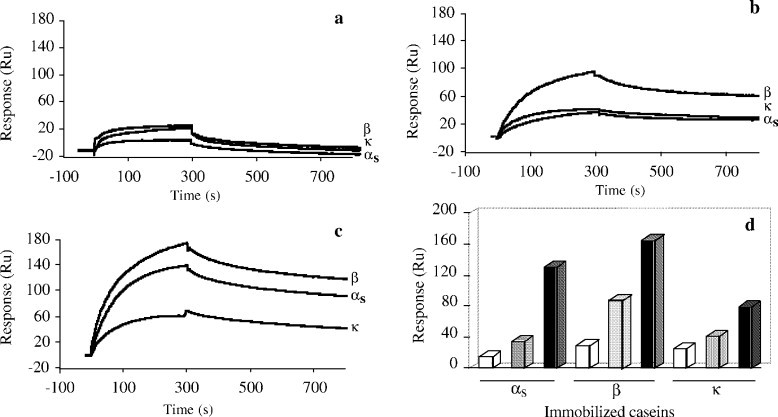 SPR analysis results.