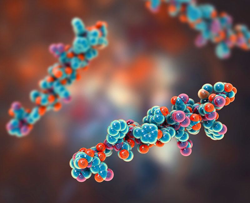 Peptide Hormones Characterization