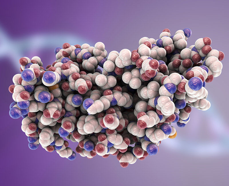 Interferon (IFN)  Characterization