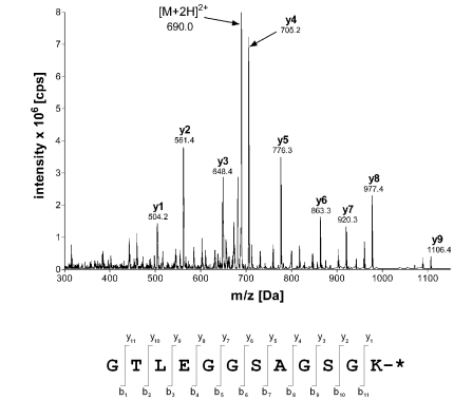 Fig 4. Mass spectrometry identification of the fluorescently labeled maltose binding protein ML.