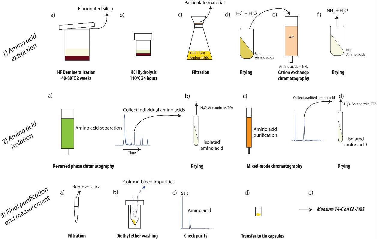 Fig 6. Overview of designed procedure recommended for extraction and preparation of amino acids from sediments for measurement of radiocarbon isotopic composition.