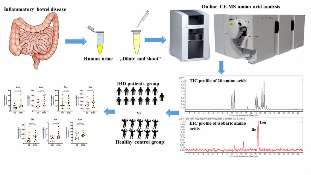 Fig 7. Profiling of Amino Acids in Urine Samples of Patients Suffering from Inflammatory Bowel Disease.