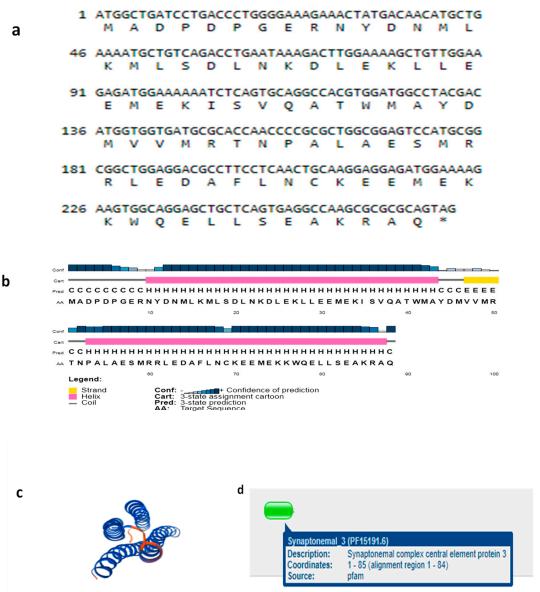 Fig 1. Exploration of the protein sequence encoded by TSEG2 from Datong yak.