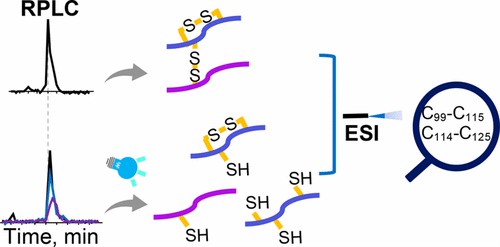 Fig 1. Mapping Complex Disulfide Bonds via Implementing Photochemical Reduction Online with Liquid Chromatography−Mass Spectrometry.