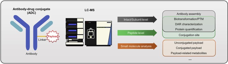 Fig 1. Current LC-MS-based strategies for characterization and quantification of antibody-drug conjugates.