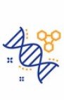 Sequence-dependent effects