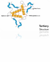 Tertiary Structure Analysis Service