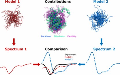 Fig 5. Predicting Circular Dichroism Spectra from Protein Molecular Structures.