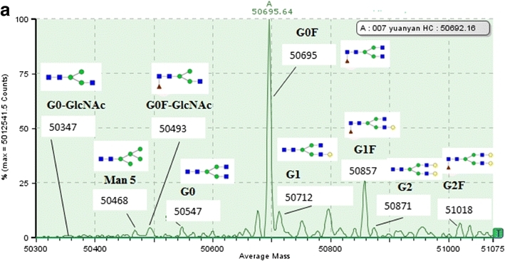 Fig 3. Analysis of N-linked glycosylation by LC-MS