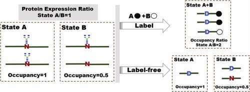 Fig 1. MS-based labeling and label-free technologies for quantification of N-glycosylation site occupancy.