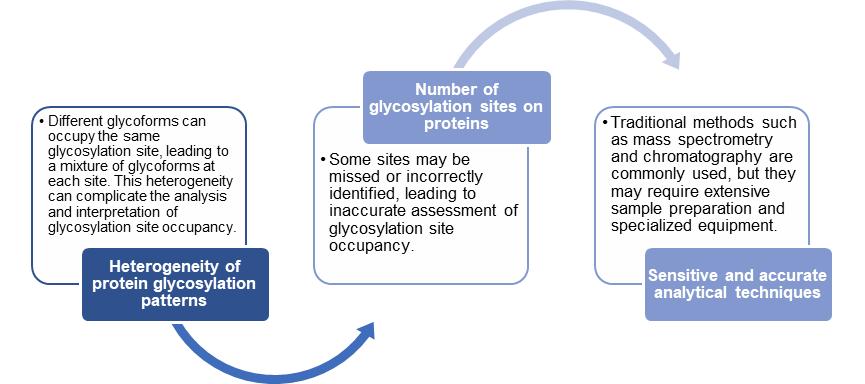 Challenges in Glycosylation Site Occupancy Analysis