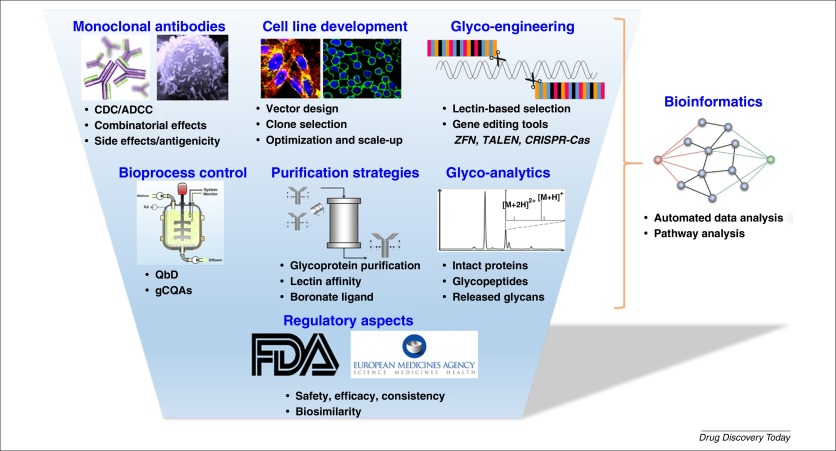 Fig 2. Developments and challenges of glycosylation analysis and control in bioprocessing.