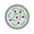 In vitro kinase assays