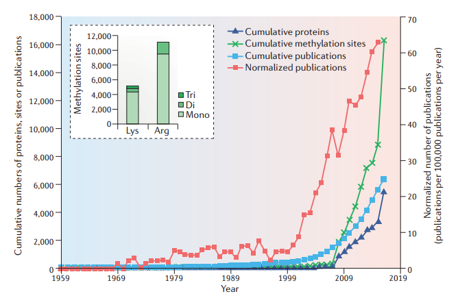 Fig 2. Protein methylation in numbers.