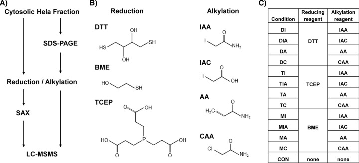 Fig 1. A, Experimental workflow for sample generation and analysis; B, reduction and alkylation reagents used; and C, combinations of reduction and alkylation reagents for generation of the different data sets.