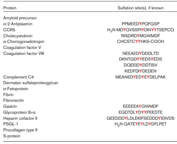 Fig 2. Human proteins known to be tyrosine sulfated.