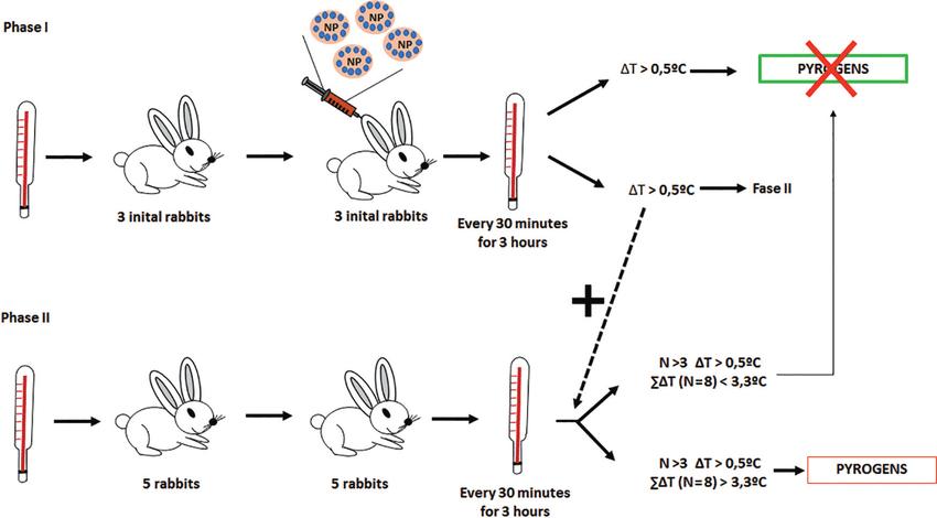 Fig 4. General scheme of the pyrogenic test.